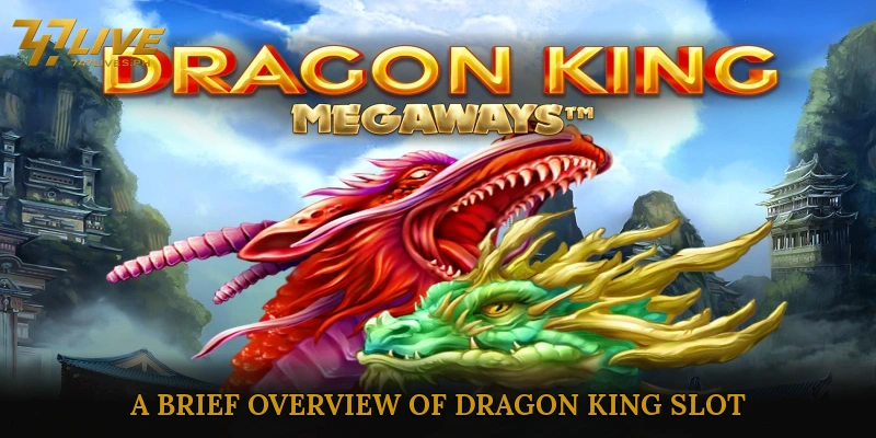 A Brief Overview of Dragon King Slot