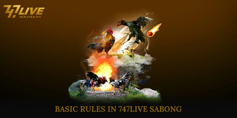 Basic Rules in 747Live Sabong