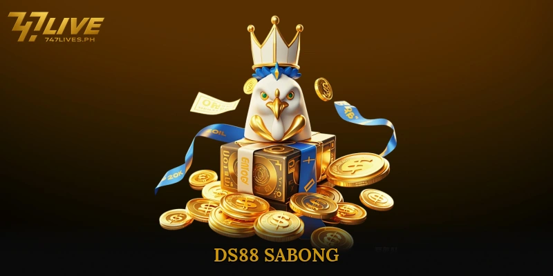 DS88 sabong insights to dominate each thrilling fight 4 DS88 Sabong