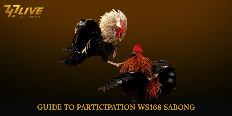 Guide to Participation WS168 sabong