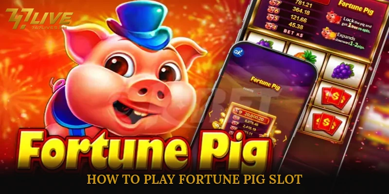 How to Play Fortune Pig Slot