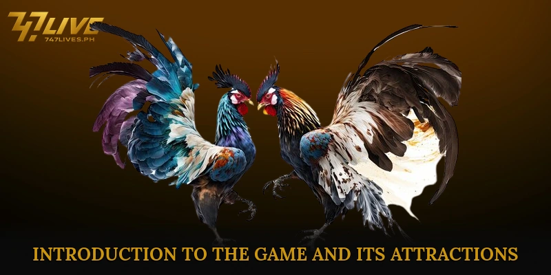 Sabong International insights to dominate every thrilling fight 5 Introduction to the Game and Its Attractions
