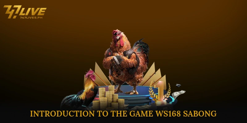 Introduction to the Game and Its Attractions