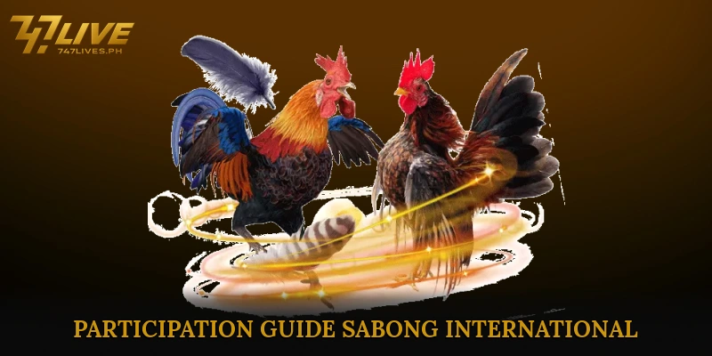 Sabong International insights to dominate every thrilling fight 7 Participation Guide Sabong International