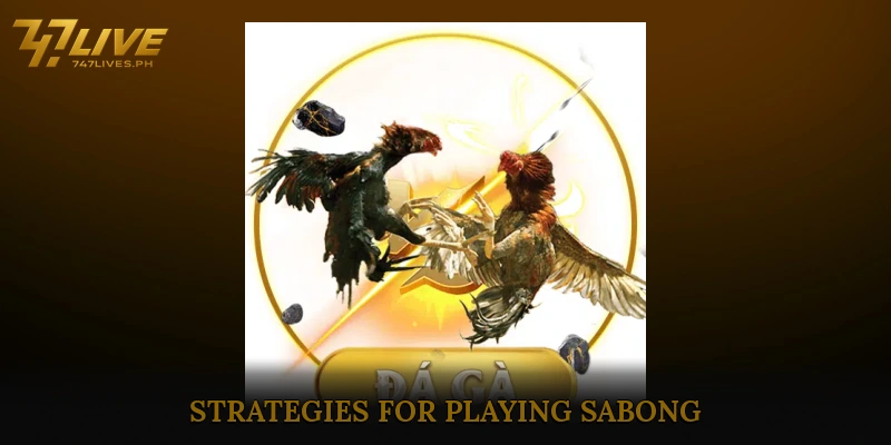 Strategies for Playing Sabong