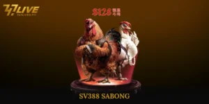 SV388 Sabong