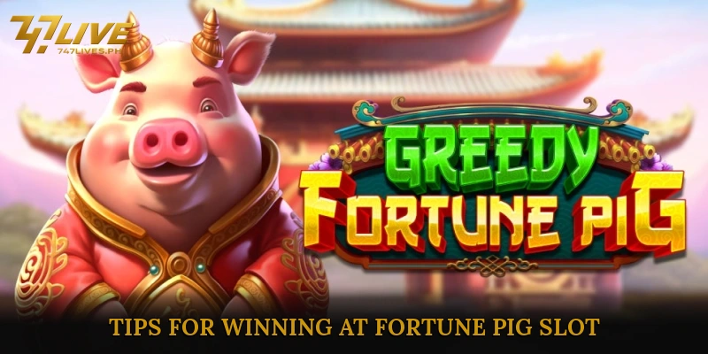 Tips for Winning at Fortune Pig Slot