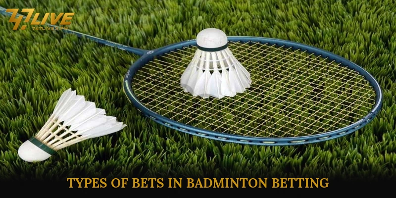 Types of Bets in Badminton Betting