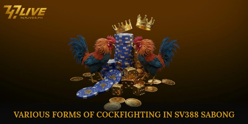 Various Forms of Cockfighting in SV388 Sabong