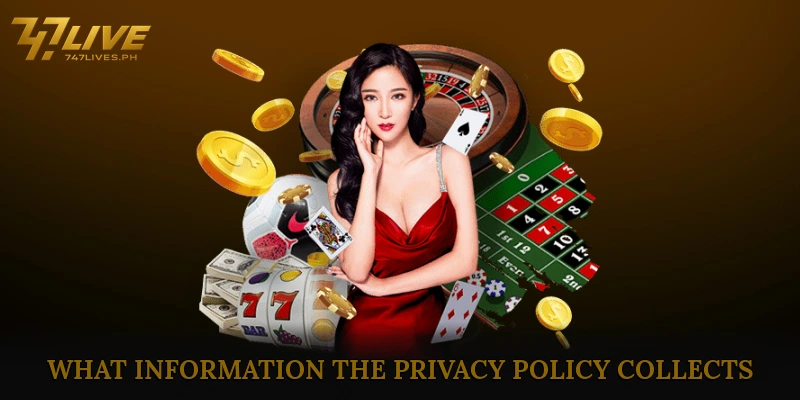 What information the Privacy Policy collects
