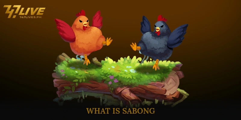 What is Sabong?
