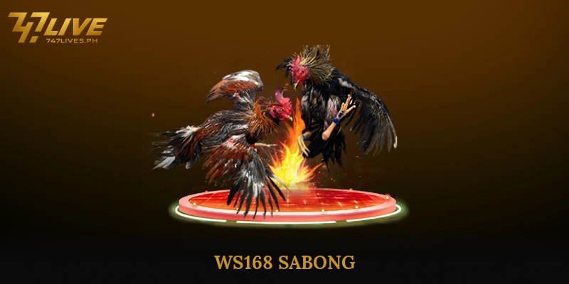 WS168 sabong