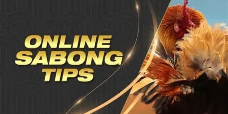 virtual-cockfighting-betting-Future