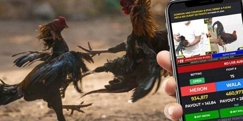 virtual-cockfighting-betting